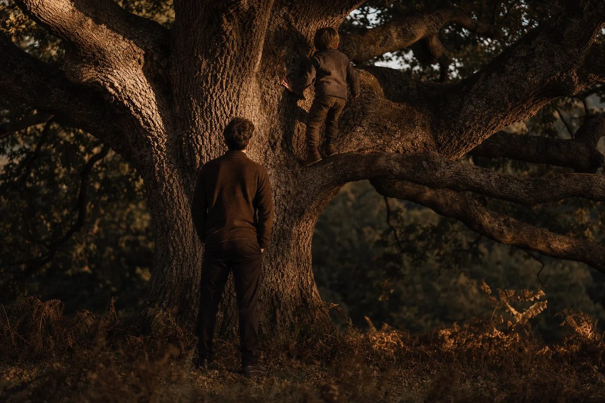 A child seen from behind, halfway up an old oak in low gold light. At the foot of the tree, a man seen from behind with his hands in his pockets.